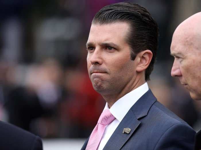 Trump Jr. reportedly met with an emissary for Saudi Arabia and the UAE who offered to help Trump with the 2016 election