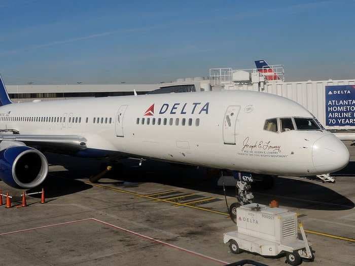 A dog died during a Delta flight and its owner is accusing the airline of attempting a cover-up