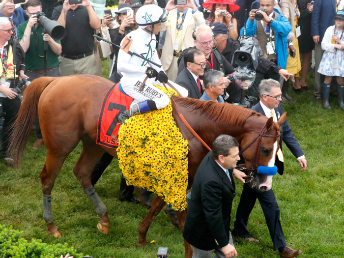 Belmont Stakes 2018: Everything you need to know about the 10 horses running in the final leg of the Triple Crown