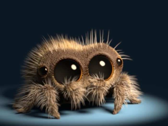 YouTube's latest star with millions of followers is an adorable CGI spider named Lucas, created by a Disney-Pixar animator