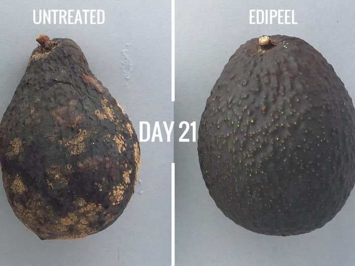 A Bill Gates-backed edible coating makes avocados last twice as long - and it's debuting at Costco