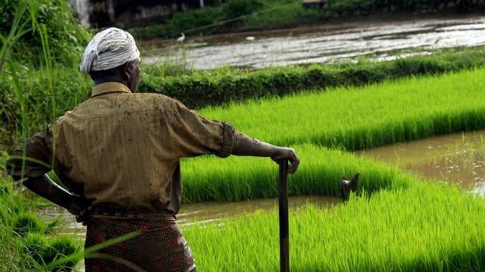 Climate change could shave off nearly 3% off India's GDP in future, says the World Bank