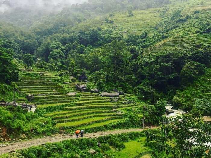 I traveled to a remote, 400-person indigenous village in the Himalayas. Here's what my journey way off the beaten path was like.