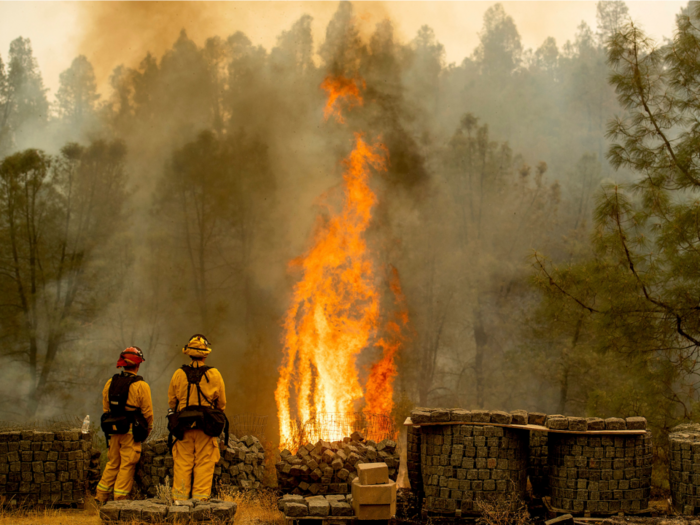 The world could hit a tipping point that would cause warming to spiral out of control - a scenario scientists call 'Hothouse Earth'