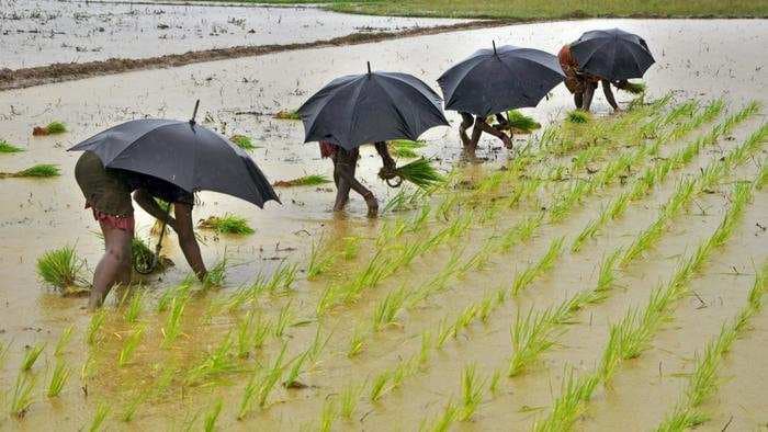 Despite a second consecutive deficient monsoon, India is poised for a record harvest