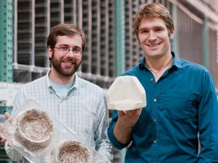 A startup that turns mushrooms into IKEA packaging wants to become the backbone of the lab-grown meat industry