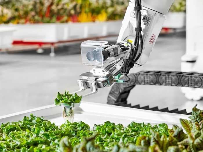 The world's first autonomous farm features a 1,000-pound robot farmer named Angus