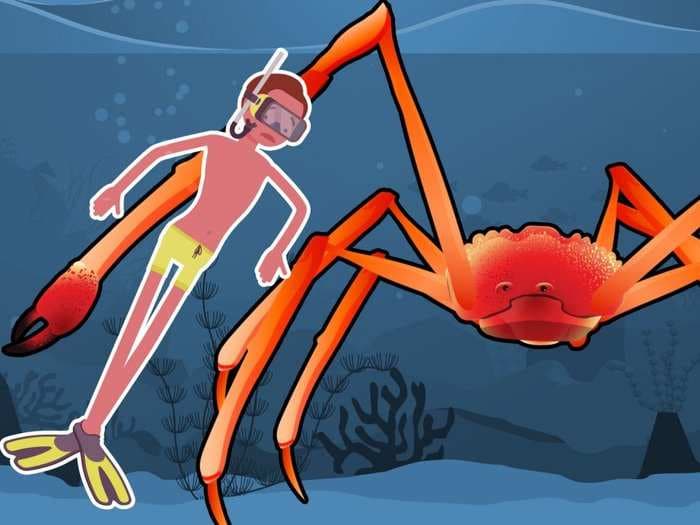 There could be thousands of undiscovered creatures in the sea - here are the most terrifying ones we know about