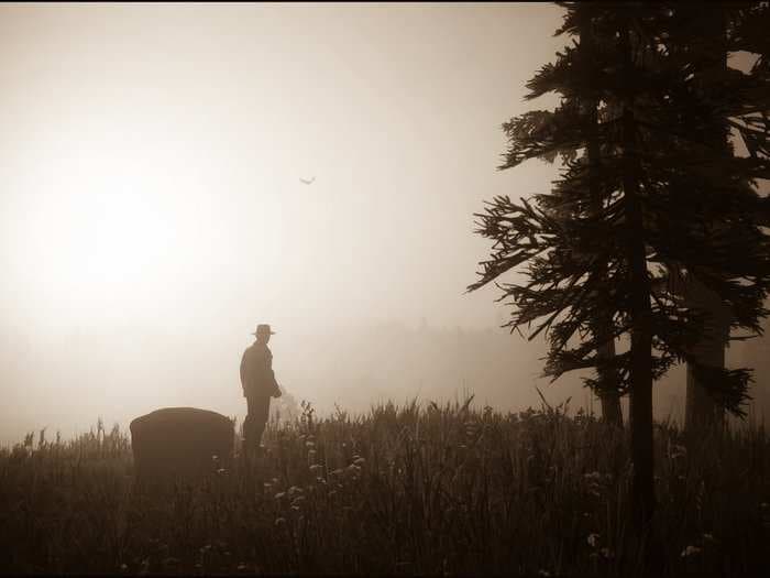 I played 'Red Dead Redemption 2' as a cowboy photographer - here are my favorite photos showing the insane level of detail in the game