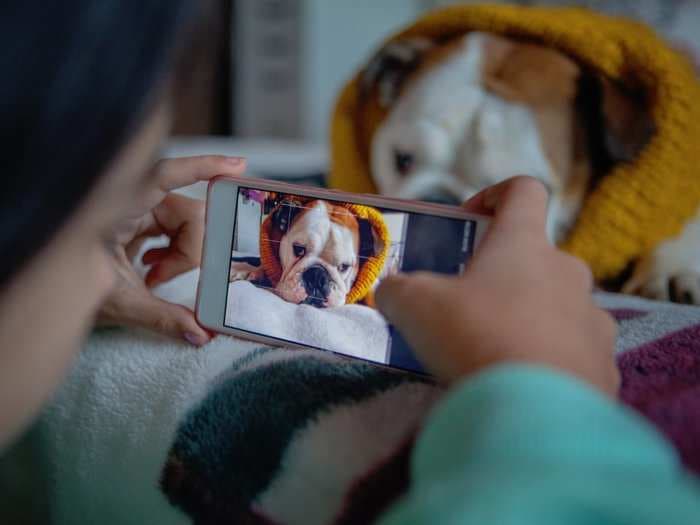 People are being paid up to $16,000 for a single picture of their dog on Instagram