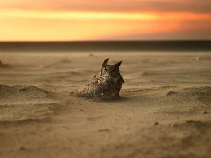 Feast your eyes, heart, and mind on some of the most stunning science and nature photography of 2018