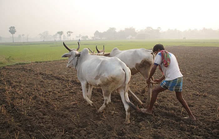 Alcohol may become costlier in Indian states considering farm loan waivers: Report