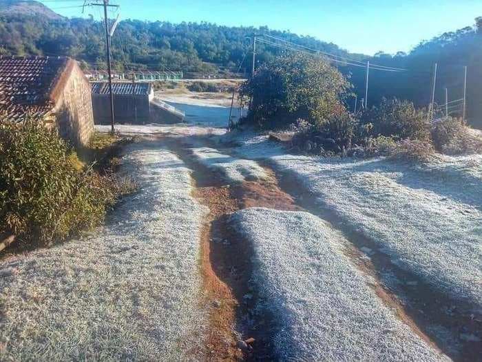 In photos: A tea plantation in South India sees a white winter as temperatures dip unusually to below freezing