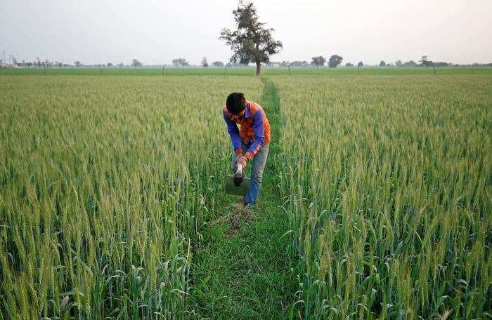 Interest-free loans and income support— the upcoming Budget may be a song for India’s farmers