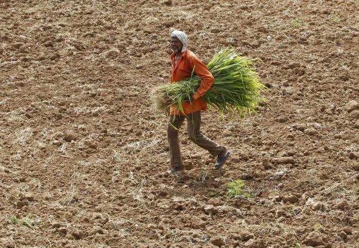 India’s largest bank bats for the government’s proposed cash handouts to farmers but says they must be unconditional