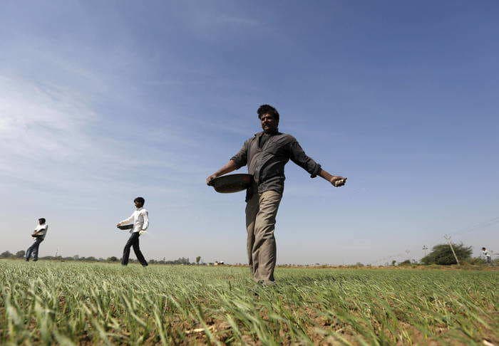 Explained: The cost of giving India's farmers cash instead of subsidies