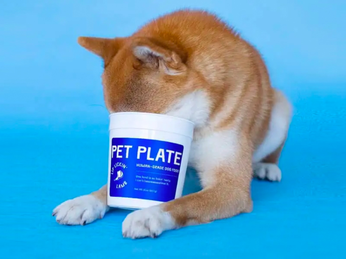 11 pet startups that are taking on traditional brands with more innovative products