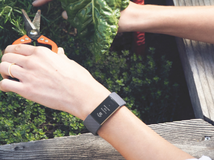 The best Fitbits you can buy