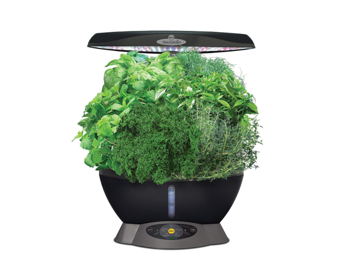 The best indoor herb gardens you can buy