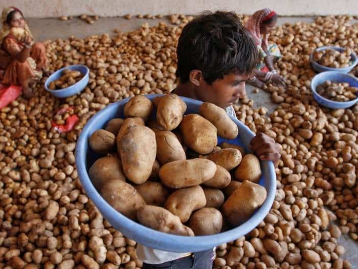 The $177 billion owner of Lay's chips is suing small-time Indian farmers for growing a type of potato it claims exclusive rights over