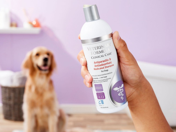 The best medicated shampoos for dogs you can buy