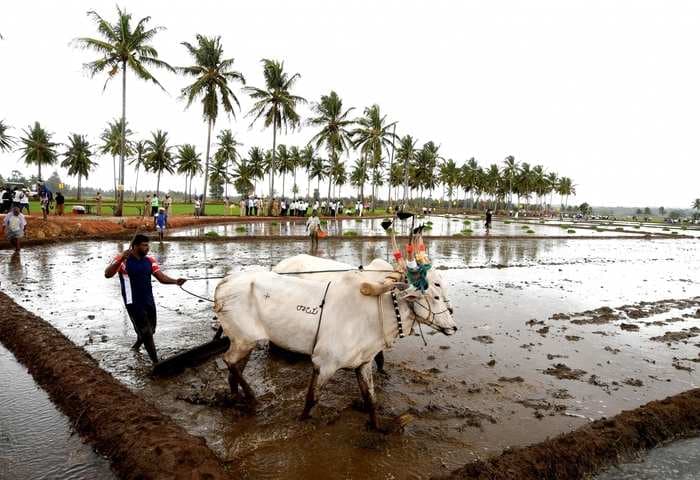 The mystery of India’s erratic monsoon can be found in the Indian ocean