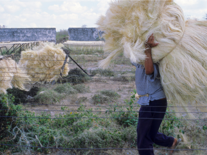 Levi's found a way to make hemp feel like cotton, and it could have big implications for your wardrobe