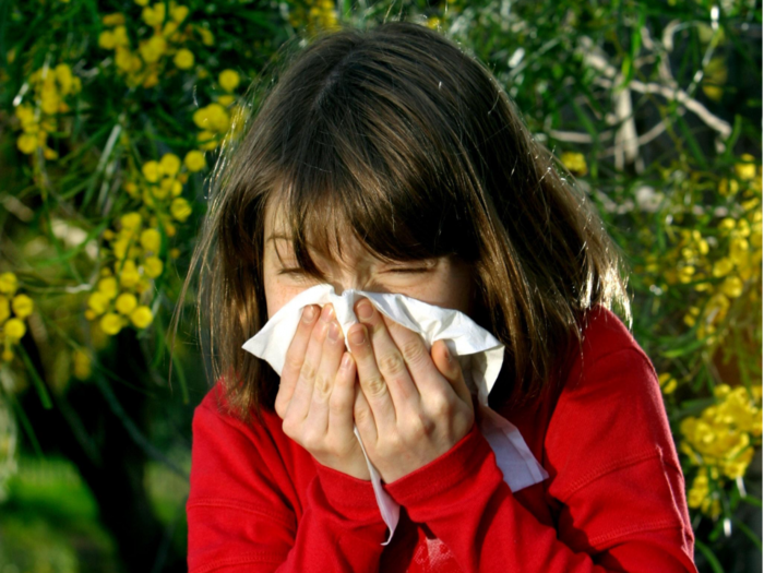 Your seasonal allergies are getting worse because of high levels of carbon dioxide -&#160;here's why