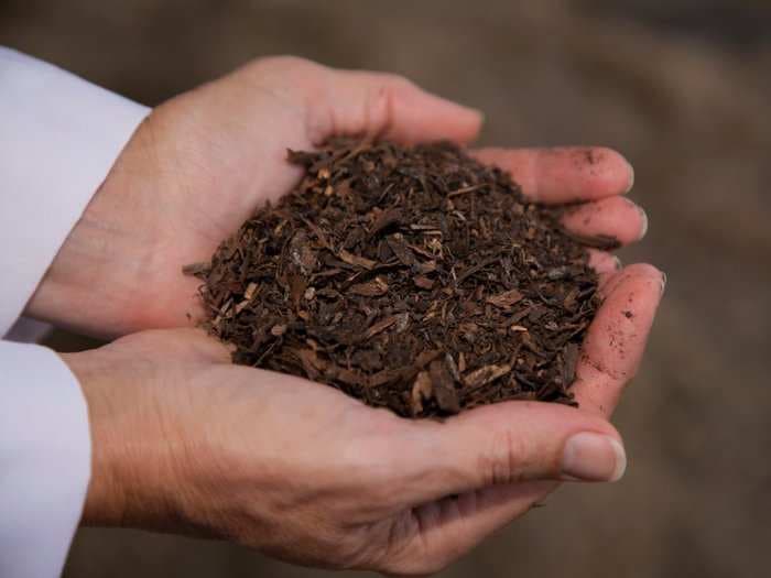 Composting human bodies to turn them into soil will soon be legal in one US state -&#160;part of a growing green death trend