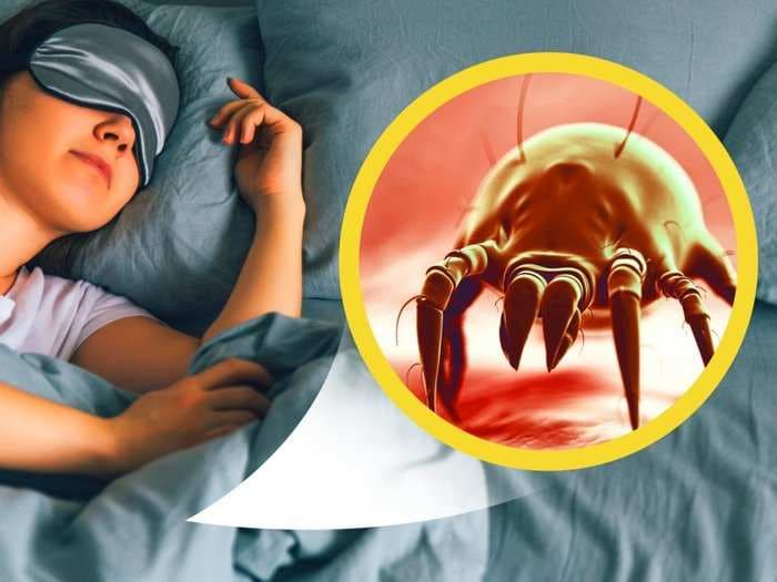 Your pillowcase has more bacteria than your toilet seat if you don't wash your sheets often