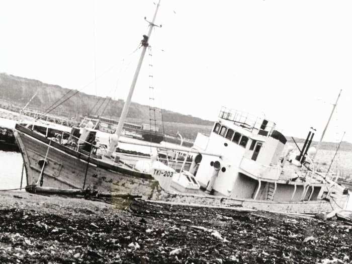 Godzilla was birthed from the devastation in Japan after the Hiroshima and Nagasaki bombings. Here's how a real fishing-boat disaster inspired the fictional monster.