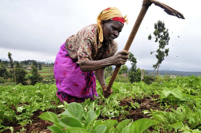 India’s budget allocation for agriculture remains unchanged at ₹1.3 trillion