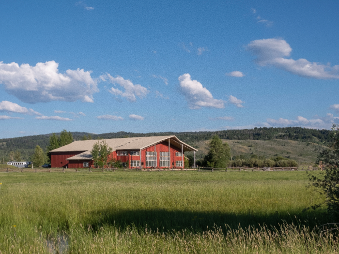 Fortune 500 companies like Google and Disney have paid more than $10,000 for horse whispering demonstrations for their employees. I visited a Wyoming ranch to find out what it's all about.