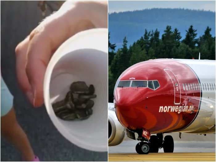 A village near Rome was pelted with debris when chunks of metal broke off a Norwegian Air Boeing 787 after a 'technical failure'