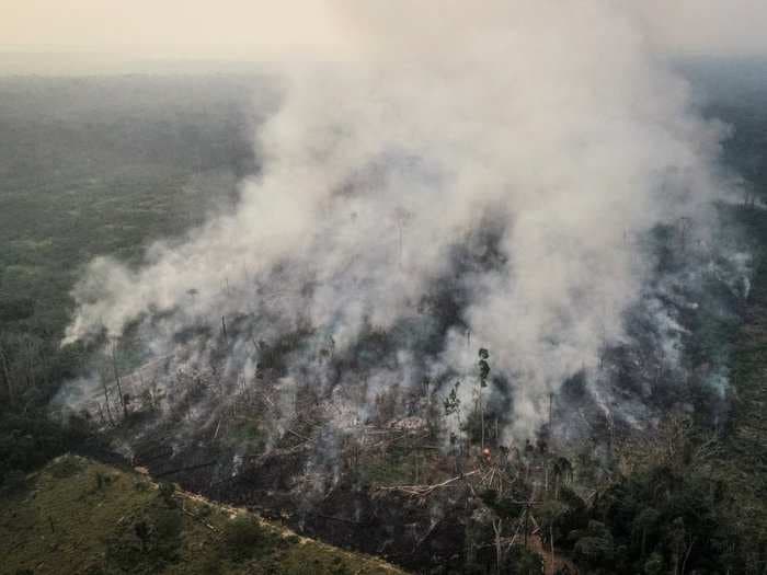 Brazil has angrily attacked offers to help it put out the huge fires in the Amazon - here is why it is pushing back against global outrage