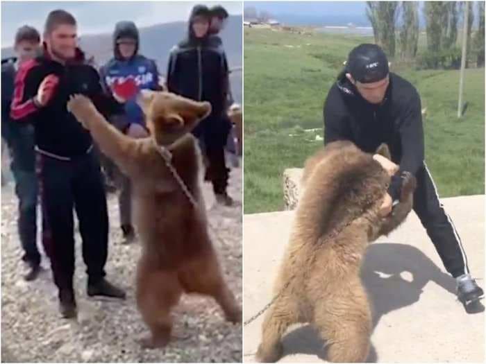 PETA has urged the UFC to 'evaluate its relationship' with Khabib Nurmagomedov after 'loathsome' footage resurfaced showing him fighting a chained-up bear