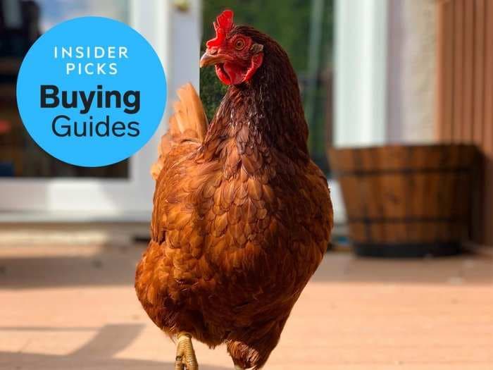 The best chicken coops for your backyard