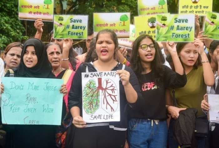 Don't cut Aarey trees for now, Supreme Court tells Mumbai Metro — but it may be too late