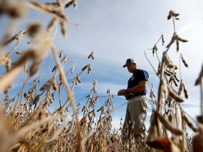 Farmers are skeptical of the partial trade pact Trump announced with China