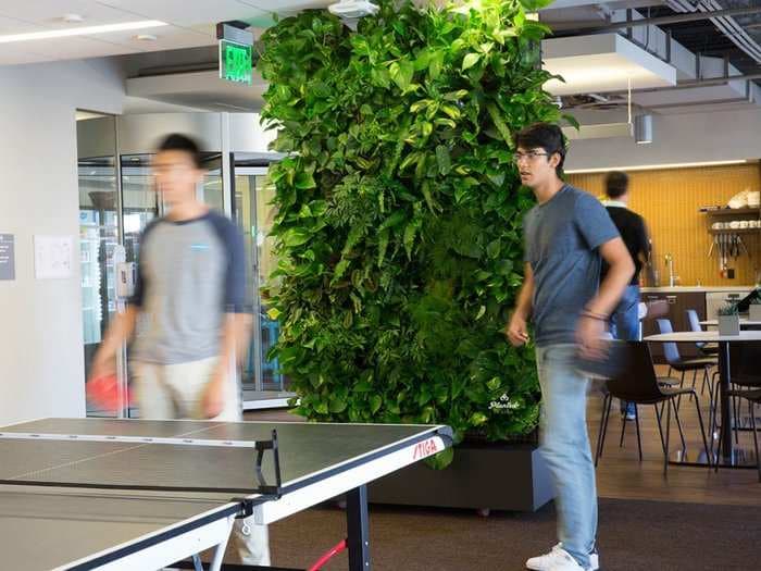 Millennials love plants so much it's convincing tech companies to replace office artwork with 'living walls'