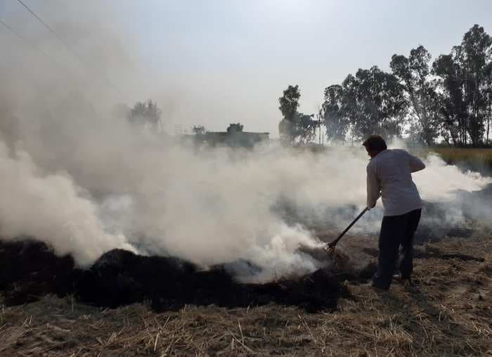 ‘Farmers cannot kill others for their own livelihood’ — Supreme Court issues blanket ban on stubble burning in 3 states