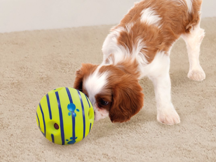 The best dog toys