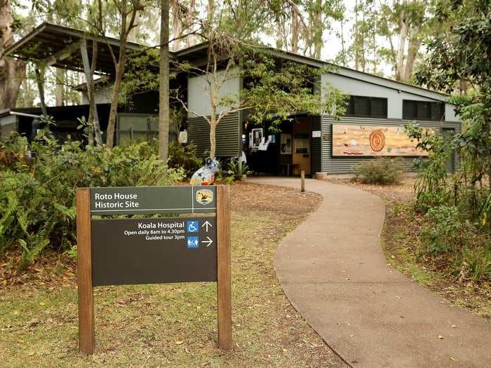 Photos of a koala hospital in Australia show just how devastating recent bushfires have been for the iconic marsupial