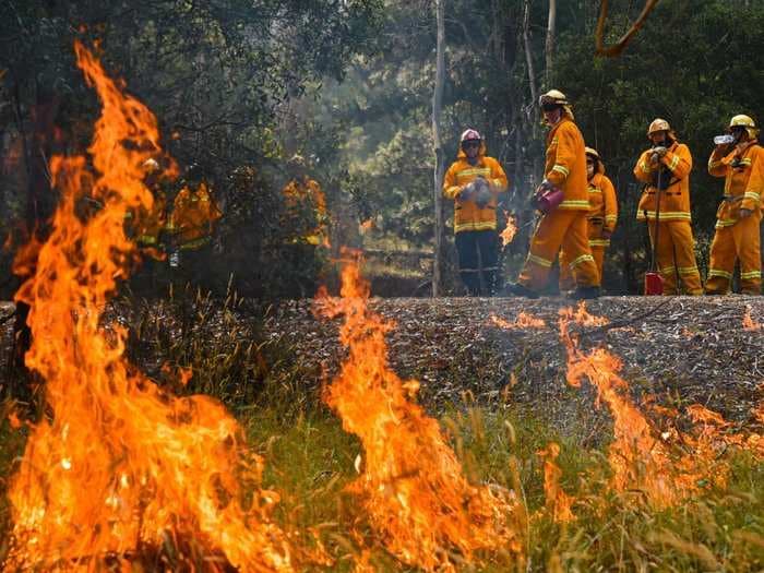 Here's how much Australia's billionaires have donated to relief efforts for the wildfires that have destroyed 25 million acres of land and have killed at least 28 people