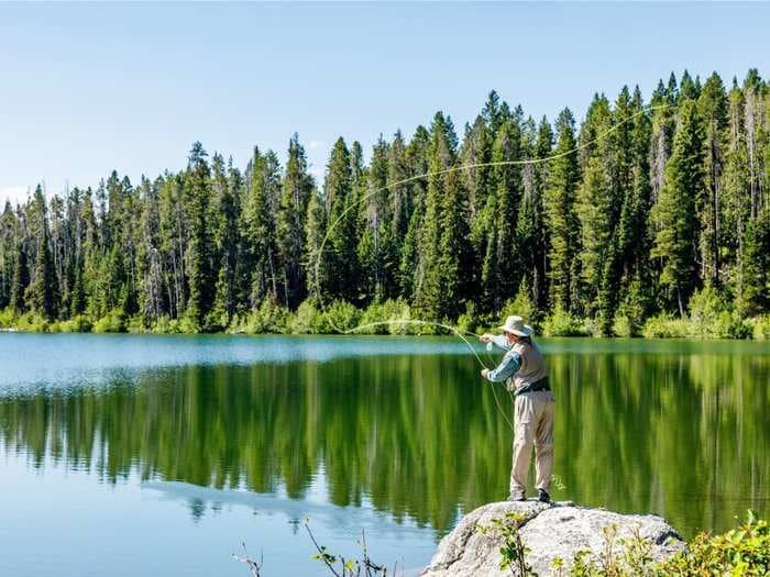 Forget Florida - with no income tax, good healthcare, and national parks, retirees are flocking to Wyoming