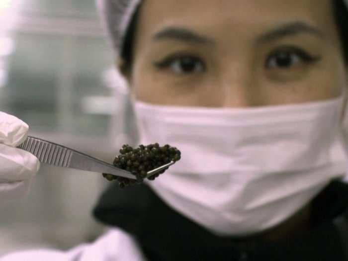 China is dominating the global caviar industry - and prices are plummeting because it's flooding the market