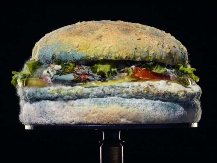 Burger King just launched a new ad campaign featuring a moldy Whopper, and it reflects a trend taking over the fast-food industry