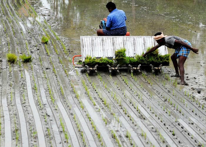 Almost 15 lakh acres of land in Tamil Nadu stands bare as lockdown grounds farmers