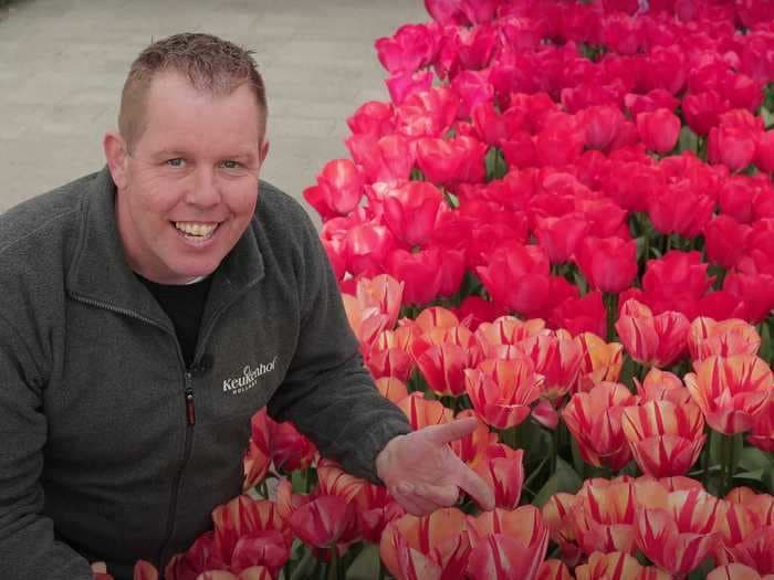 I took a virtual tour of the Keukenhof flower fields, and here are the most beautiful scenes I saw