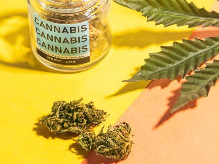 There is no difference between the effects of indica and sativa marijuana strains, scientists say